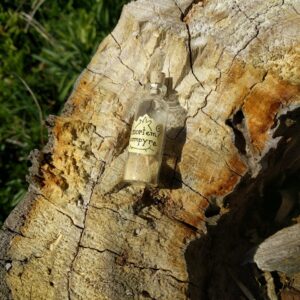 Mortem Vampyre Bottle