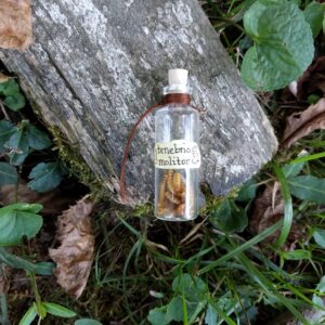Tenebrio Molitor Spell/Potion Ingredient Bottle